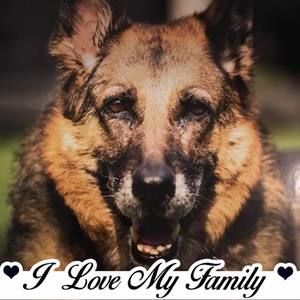 Meet your Posher, Paula